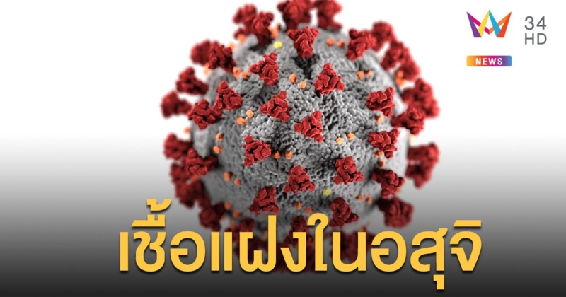 จีนพบเชื้อ "ไวรัสโคโรนา" ในอสุจิผู้ป่วยรักษาหายแล้ว ผวาติดต่อทางเพศสัมพันธ์ได้