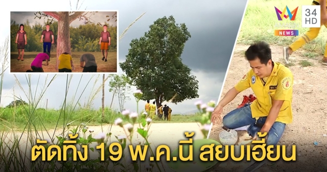 เฮี้ยนหนัก! ต้นหว้าอาถรรพ์ 3 ศพ ทำกู้ภัยนักข่าวงงตาแตก เสียงตูมสนั่นแค่บอกจะตัด (คลิป)