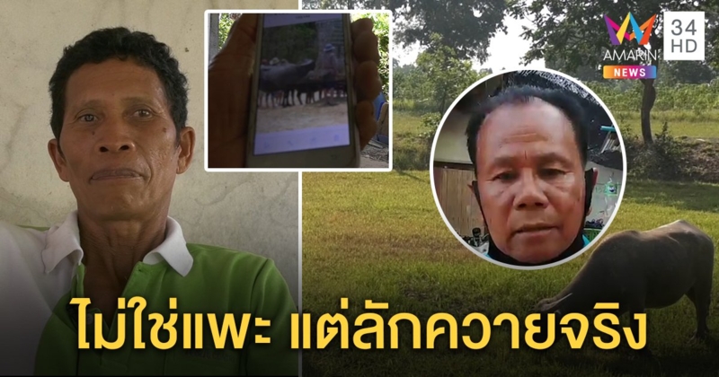 ส่อพลิก! คนเลี้ยงควายอ้างติดคุกฟรี โดนผู้เสียหายรายใหม่แฉหลักฐานชัด (คลิป)