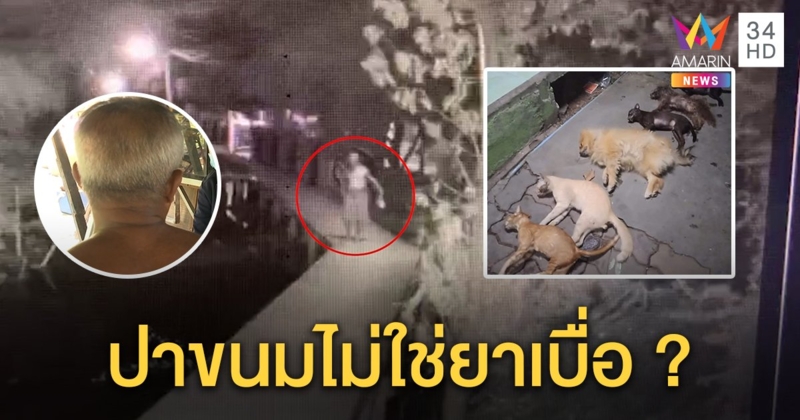 สุดหดหู่! หมาแมวถูกวางยาตาย 7 ตัวรวด ลุงโผล่ในวงจรปิดอ้างปาถุงขนมใส่ไม่ใช่ยาเบื่อ (คลิป)