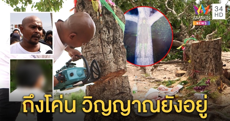 ปิดตำนานต้นหว้าผูกคอ 3 ศพ หมอปลาลุยโค่น ไร้อาถรรพ์ คนสื่อจิตเผยวิญญาณยังอยู่ (คลิป)