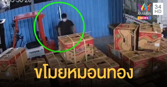 คนร้ายบุกขโมยทุเรียนหมอนทอง 10 กล่อง เผ่นหนีลอยนวล