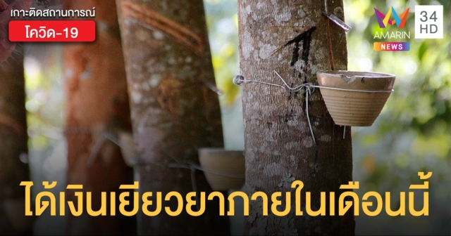 ก.ย.ท. ขอ 