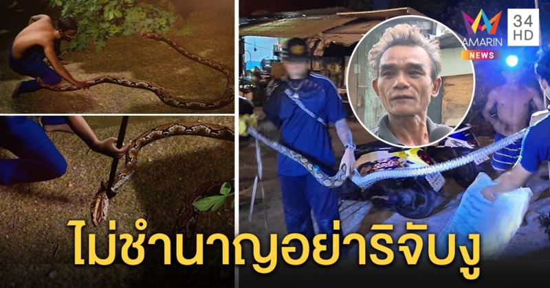 ลุงฟัดงูเหลือม 4 เมตร สู้แรงไม่ไหวถูกลากลงน้ำ เฮือกสุดท้ายคว้าฉมวกปักแน่นิ่ง (คลิป)