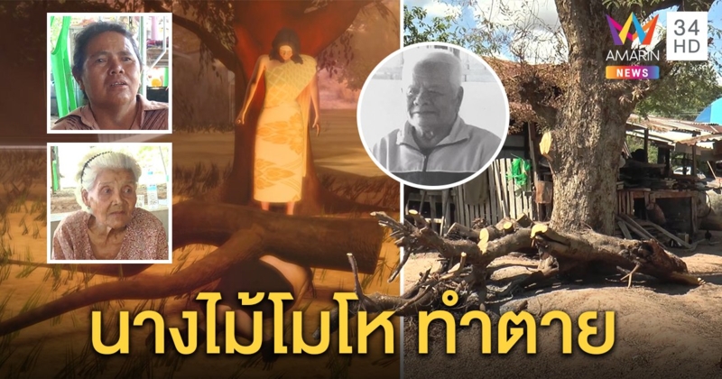 ตา 85 ถูกต้นมะขาม 100 ปีทับดับ ญาติเชื่อไม่ขอขมานางไม้ก่อนตัดกิ่ง (คลิป)