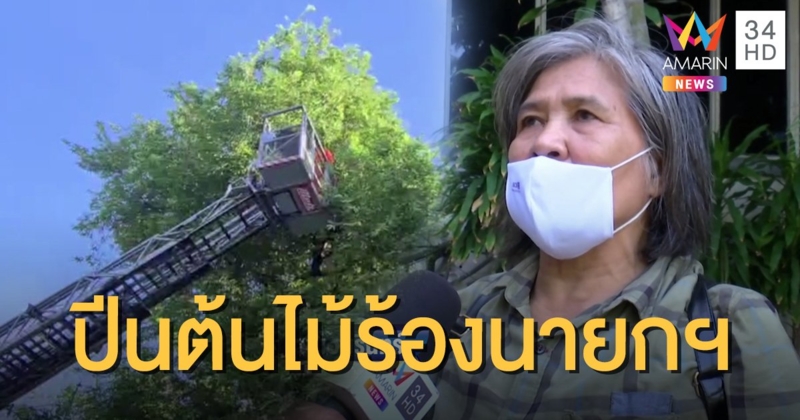 ป้าปีนต้นไม้ ร้องนายกฯ ถูกบุกรุกที่ดิน ทำร้ายร่างกาย