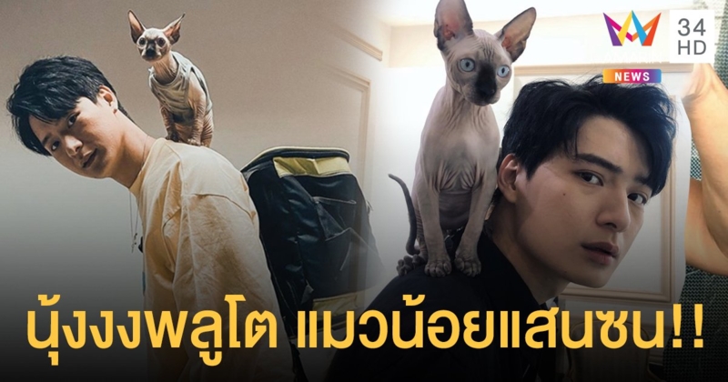 เจ้า “พลูโต” แมวพันธุ์สฟิงซ์แสนรู้ของหนุ่ม “คริส พีรวัส”