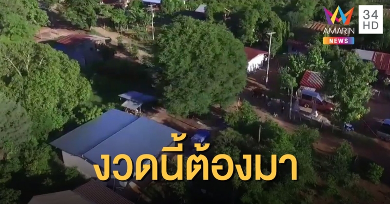 ตะลึง! ต้นมะขามยักษ์อายุ 200 ปี ชาวบ้านแห่ขอเลขเด็ด