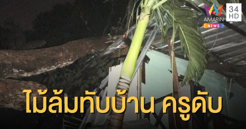 ฝนตกหนักลมกรรโชกแรง ต้นไม้ใหญ่ล้มใส่บ้านพัก ทับร่างครูดับ