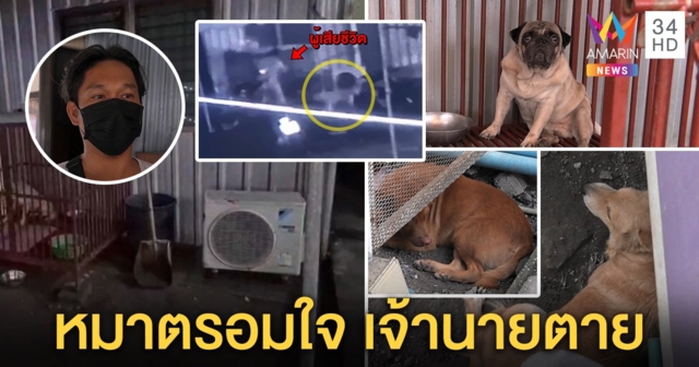 สลด! หนุ่มคาร์แคร์ถูกแอร์ช็อตดับ หมาเห่าเรียกเพื่อนดูศพ ห่วงตรอมใจตามเจ้าของ (คลิป)