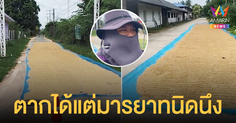 มารยาทนิดนึง! ชาวนาบุรีรัมย์ ชี้ ตากข้าวบนถนน ได้ แต่เว้นช่องให้รถวิ่งด้วย