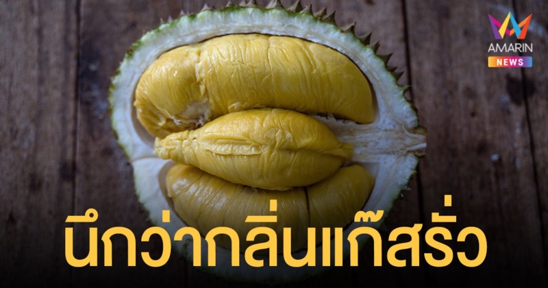 ออสเตรเลียแตกตื่น! นึกว่า แก๊สรั่ว ที่แท้เป็นกลิ่น ทุเรียน