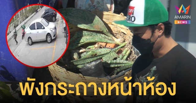 ไรเดอร์หัวร้อน ทุ่มกระถางกระบองเพชรพังยับ เจ้าของห้องคาดเป็นเรื่องเข้าใจผิด