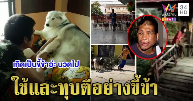 เปิดคลิป 