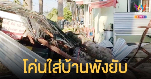กิ่งต้นยางนาอายุกว่าร้อยปี หักตกใส่หลังคาบ้านพังยับ เจ้าของบ้านรอดตายหวุดหวิด