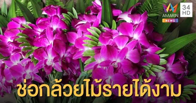 จัดช่อกล้วยไม้ ทำรายได้งามช่วงออกพรรษา