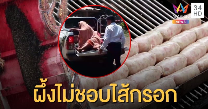 ผึ้งเหม็นกลิ่นควันไส้กรอกอีสาน รุมต่อยคนมาซื้อของตลาดนัด