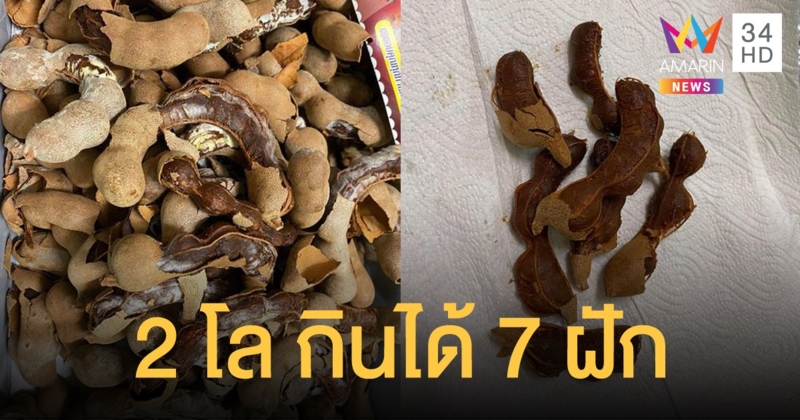 นักท่องเที่ยวโวย ซื้อมะขามหวานเพชรบูรณ์ 2 กิโล ได้กินแค่ 7 ฝัก ที่เหลือขึ้นรา