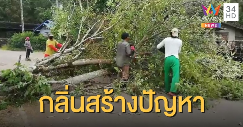 ตัดแล้ว "ต้นตีนเป็ด" หลังส่งกลิ่นตลบทำป่วยยกหมู่บ้าน