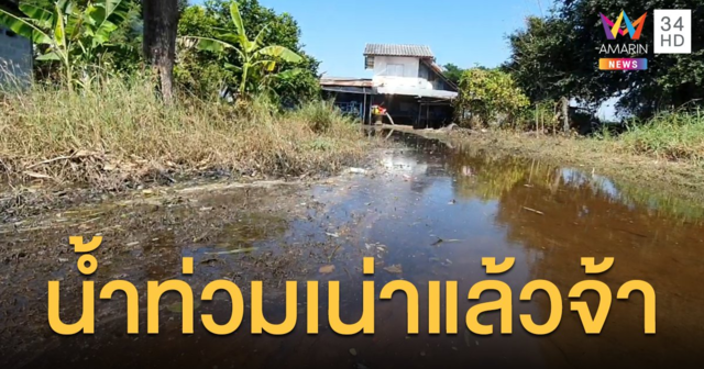 น้ำท่วมนานนับเดือน...ตอนนี้เน่าแล้ว ชาวพิมายอ่วม ป่วยเท้าเปื่อยกันระนาว