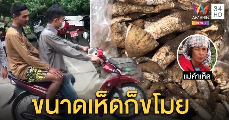 หาไม่ทันเลยขโมย! รวบ 2 โจรวิ่งราวเห็ดโคนแม่ค้าริมทาง กก.ละ 500 ฉกขายต่อ (คลิป)
