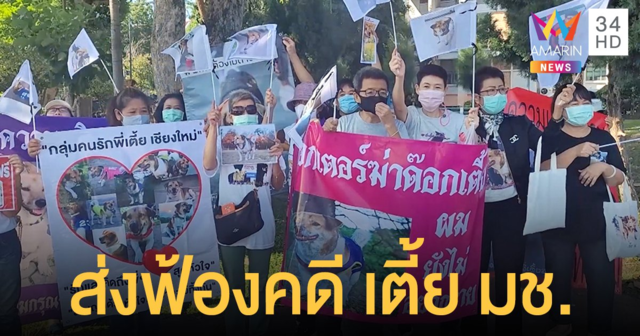 แฟนคลับ 