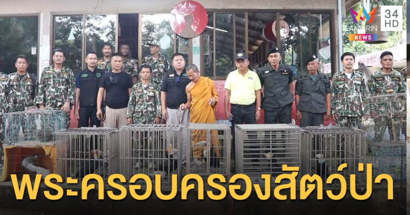 ชุด ฉก.พญาเสือบุกสำนักสงฆ์ จ.ชุมพร ผงะพบ "สัตว์ป่าคุ้มครอง" เพียบ พระลูกวัดสมอ้างเป็นเจ้าของ
