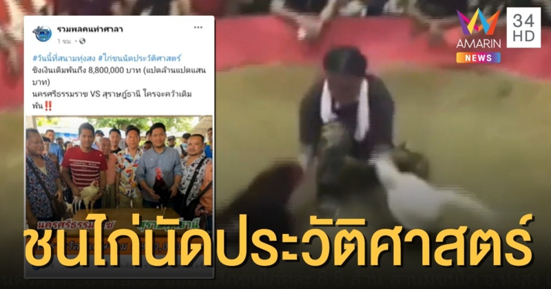ฮือฮา! ชนไก่นัดประวัติศาสตร์ เดิมพันพุ่งกระฉูด 8.8 ล้านบาท