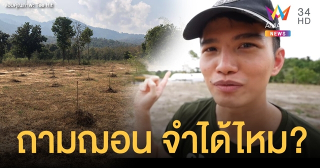 เปิดภาพล่าสุด ต้นไม้ที่ 