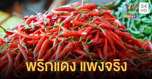 พริกโคราชแพง เม็ดละ 1 บาท แม่ค้ายันแพงจริง แต่เป็นพริกแดงไม่ใช่พริกขี้หนู