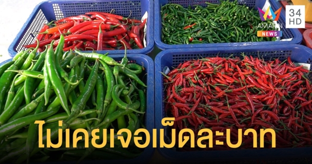 แม่ค้าชัยนาทชั่งพริกแดงโชว์ 20 บาท ได้ 50 เม็ด เผยไม่เคยเจอเม็ดละบาท