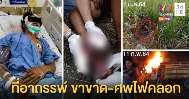 ล่าตีนผีชนโจ๋ 16 ขาขาด ทรมานข้ามคืนหวิดไม่รอด อึ้งพิกัดใกล้สิบล้อไฟคลอกสยอง (คลิป)