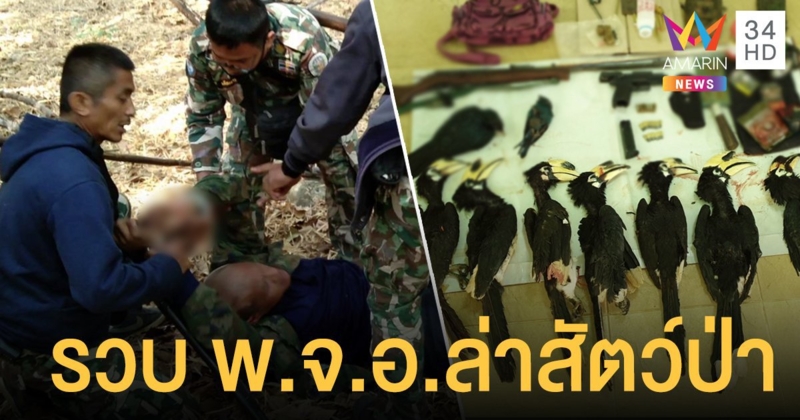 งามหน้า! รวบ "พ.จ.อ." ล่าสัตว์ป่า พบซากนกเงือก 7 ตัว ยาบ้า-กัญชา-อาวุธเพียบ