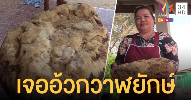 โผล่อีก! ชาวบ้านเมืองคอนเจอ 