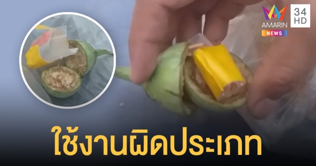 หนุ่มเมียนมาทำตัวเลิกลั่ก ตร.ค้นตัวเจอเต็มๆ ยาบ้า-ยาไอซ์ ซุกเนียนใน มะเขือเปราะ