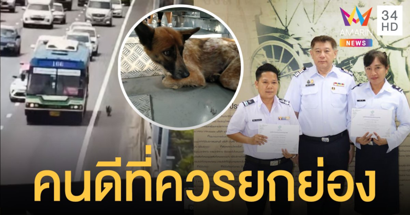 คนขับและกระเป๋ารถเมล์ ปอ.166 เข้ารับรางวัลหลังช่วยสุนัขหลงบนทางด่วน