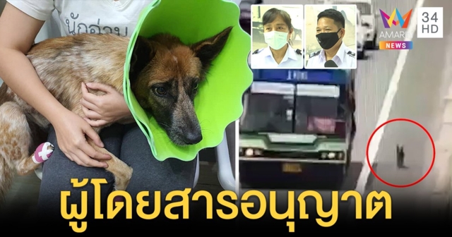 เปิดใจโชเฟอร์ ปอ.166 ช่วยชีวิตตูบหลงบนทางด่วน เจ้าของขอบคุณรับกลับบ้านแล้ว (คลิป)