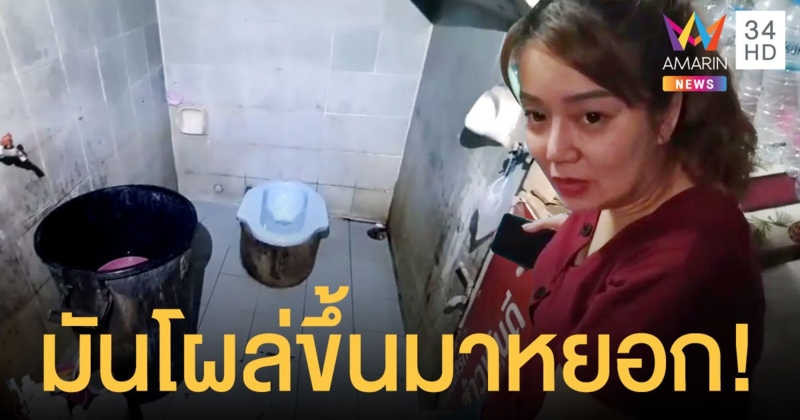 สาวช็อก! ถูกงูโผล่ขึ้นมาฉก ขณะนั่งปลดทุกข์ กัดจนจมเขี้ยวแล้วมุดหายไป
