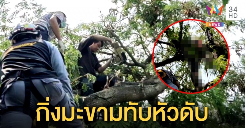 หนุ่มรับเหมาตัดกิ่งมะขามใหญ่ ร่วงทับหัวดับสลดคาต้น เมียเศร้าลูกน้อย 2 คนกำพร้าพ่อ