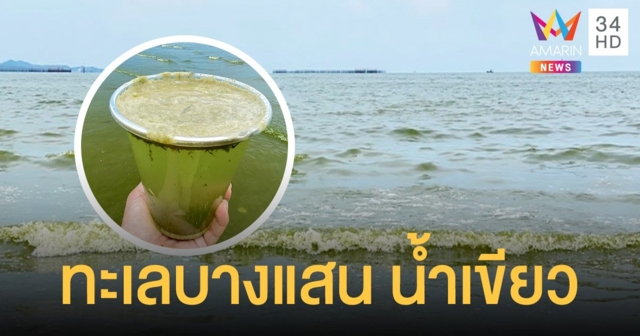 นึกว่าชาเขียว ทะเลบางแสน น้ำสีเปลี่ยน ชาวเน็ตแห่แชร์ภาพ