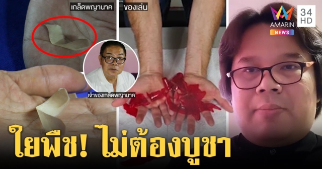 ตะลึง! เกล็ดพญานาคดิ้นในมือ นักวิทย์เฉลยแค่ใยพืชชื้น 