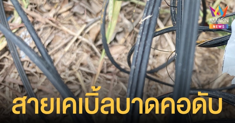 หนุ่ม ปทุมธานี ถูกสายส่งสัญญาณสื่อสารบาดคอเสียชีวิต ร้องบ.เจ้าของสายเคเบิ้ลรับผิดชอบ
