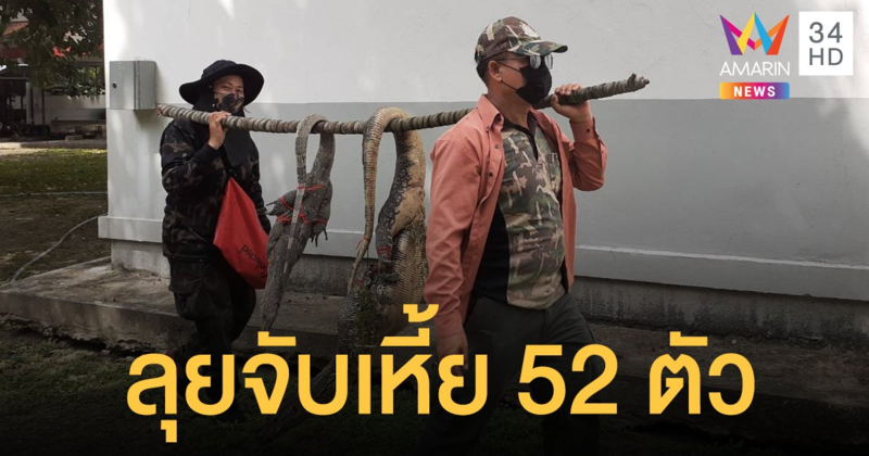 กรมอุทยาน ลุยจับเหี้ย 52 ตัว สร้างความเดือดร้อน 2 มหาวิทยาลัย
