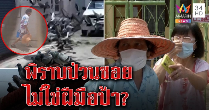 เดือด! มนุษย์ป้าโปรยข้าวเรียกนกนับร้อย ฉะเพื่อนบ้านแกล้ง สื่อบุกดมเหม็นจริง (คลิป)