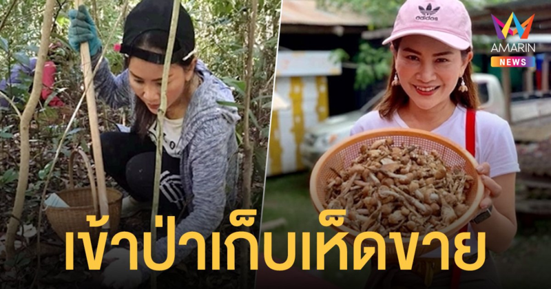 ดอกอ้อ  ทุ่งทอง  เข้าป่าเก็บเห็ดขาย สร้างรายได้ในช่วงโควิด