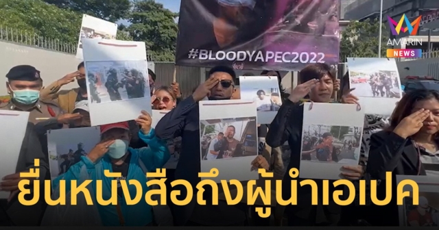 'ทะลุฟ้า' ยื่นสถานทูตฟ้องผู้นำเอเปค มี 25 ชีวิตถูกจับ ซัดไวนิลปกปิดอัปยศ