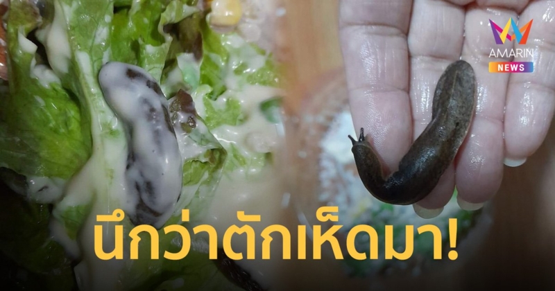 ขนลุก! ซื้อสลัดร้านดังกินเกือบหมด เจอ "ทาก" ตัวเป็นๆ กระดึ๊บอยู่ในจาน