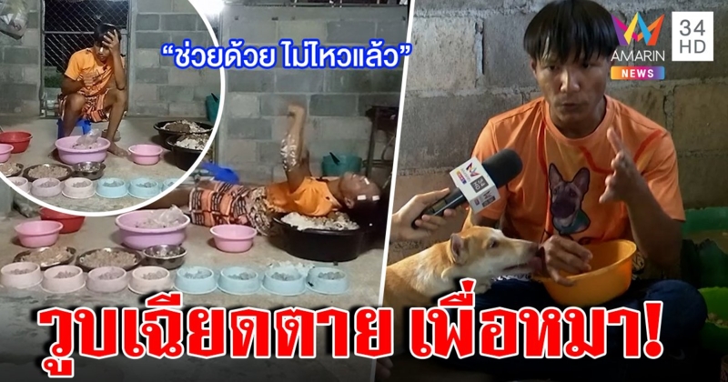 หนุ่มใจบุญวูบคว่ำแช่จานข้าวหมา ปัดจัดฉากป่วยฟื้นได้จากเสียงเรียกเข้า คนดูไลฟ์สืบหาเบอร์โทรช่วยชีวิต (คลิป)