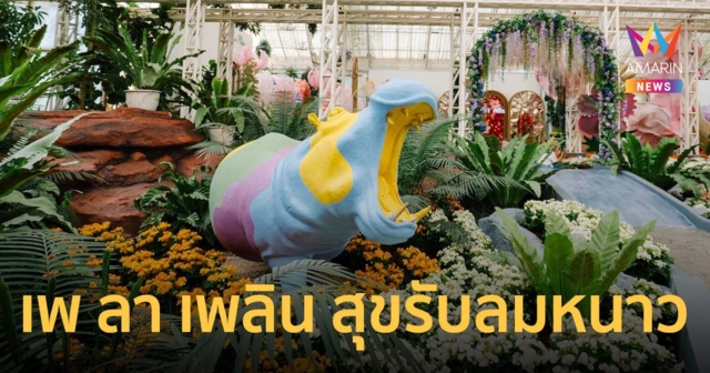 เพ ลา เพลิน เปิดตัวโรงเรือนไม้เมืองหนาวโฉมใหม่ โชว์ความงามลิลลี่หลากสีสันปลายปี