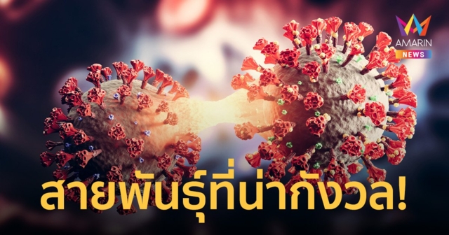 ศูนย์จีโนมฯ เผย โอมิครอนลูกผสม 